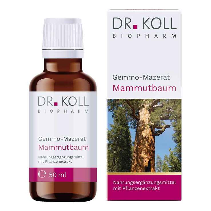 Gemmo Mazerat Mammutbaum Dr. Koll Sequoia gigantea, 50 ml