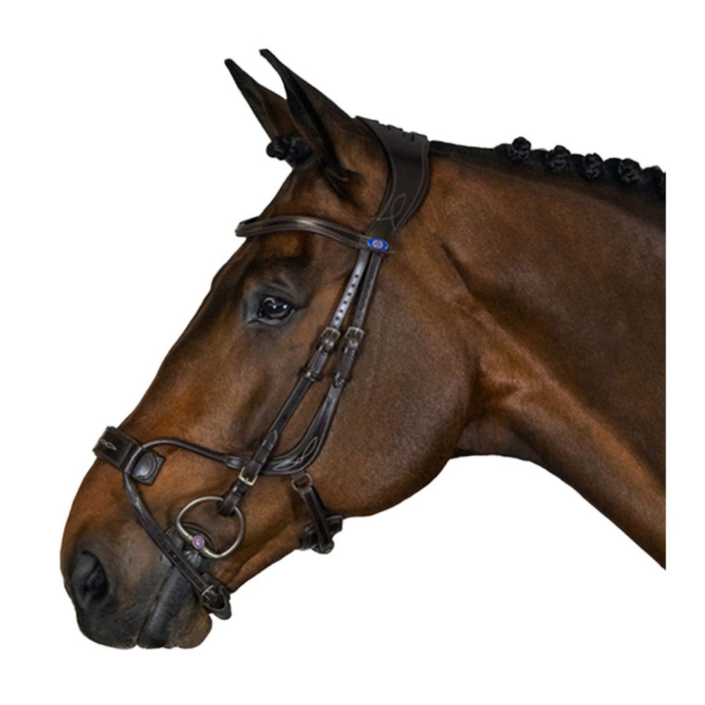 PS of Sweden HIGH JUMP - Bridon brown leather