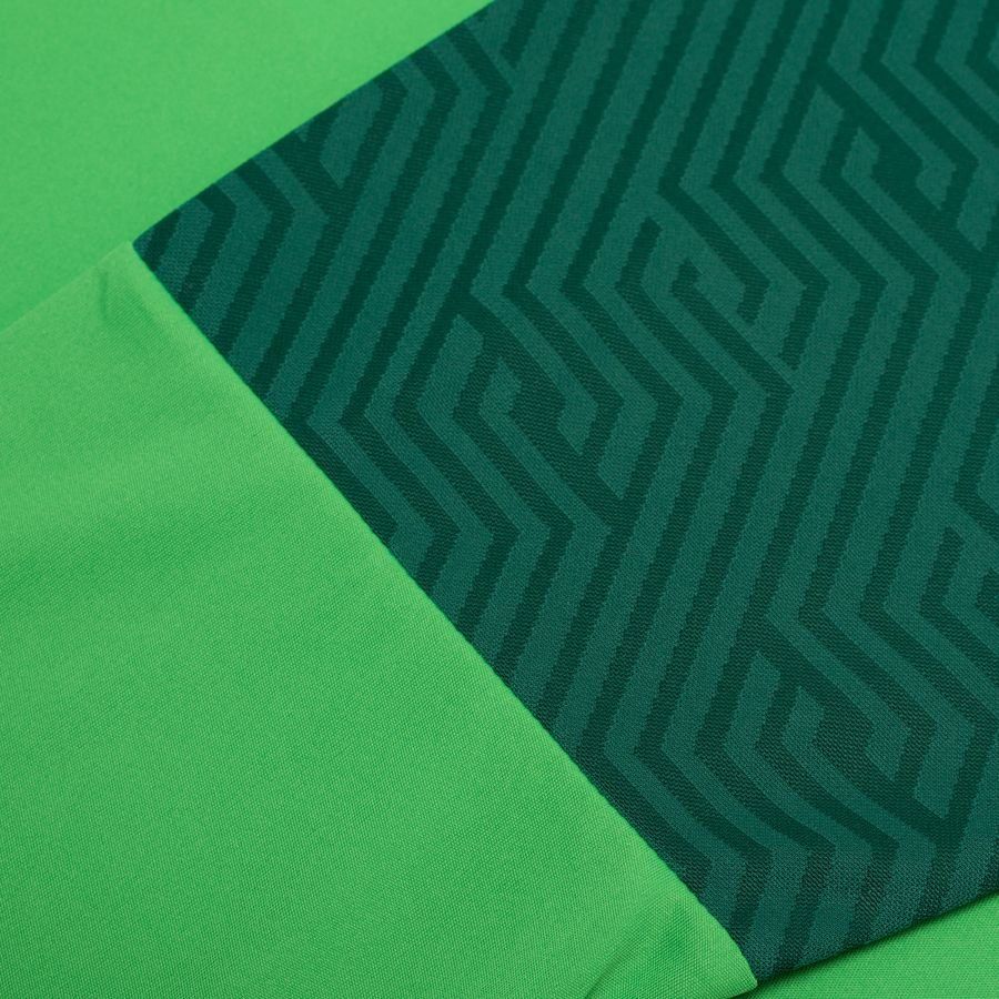 Select Maillot de Gardien Monaco v24 - Vert