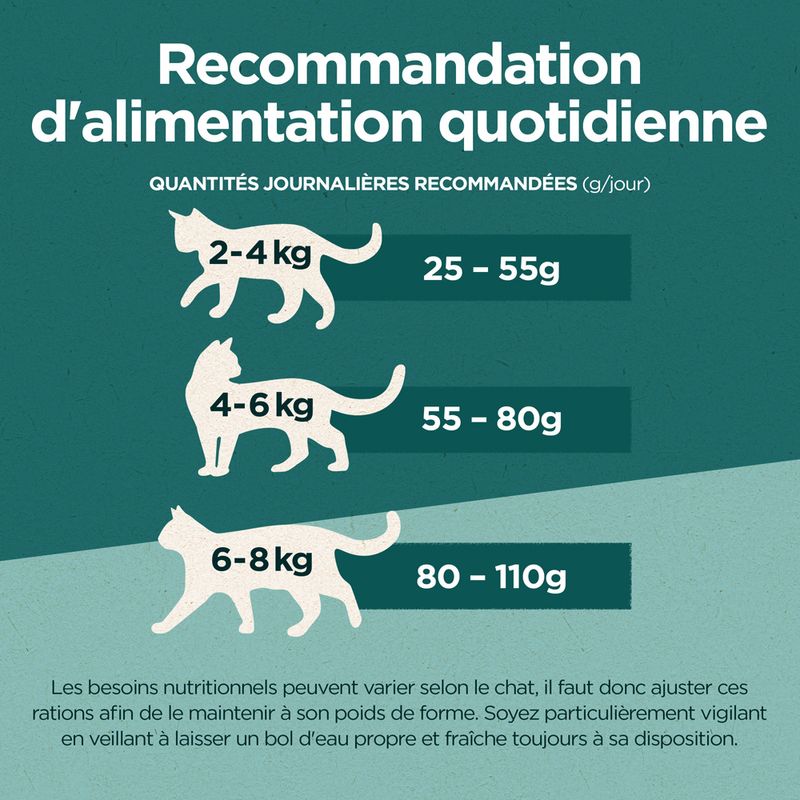 PURINA ONE Dual Nature Stérilisé saumon, spiruline