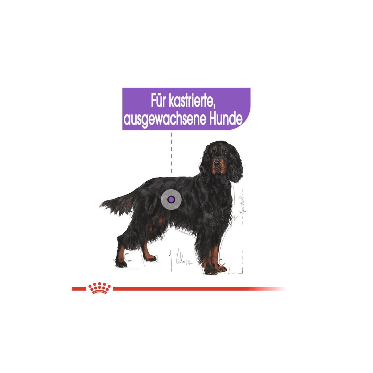 ROYAL CANIN Sterilised Maxi 3 kg