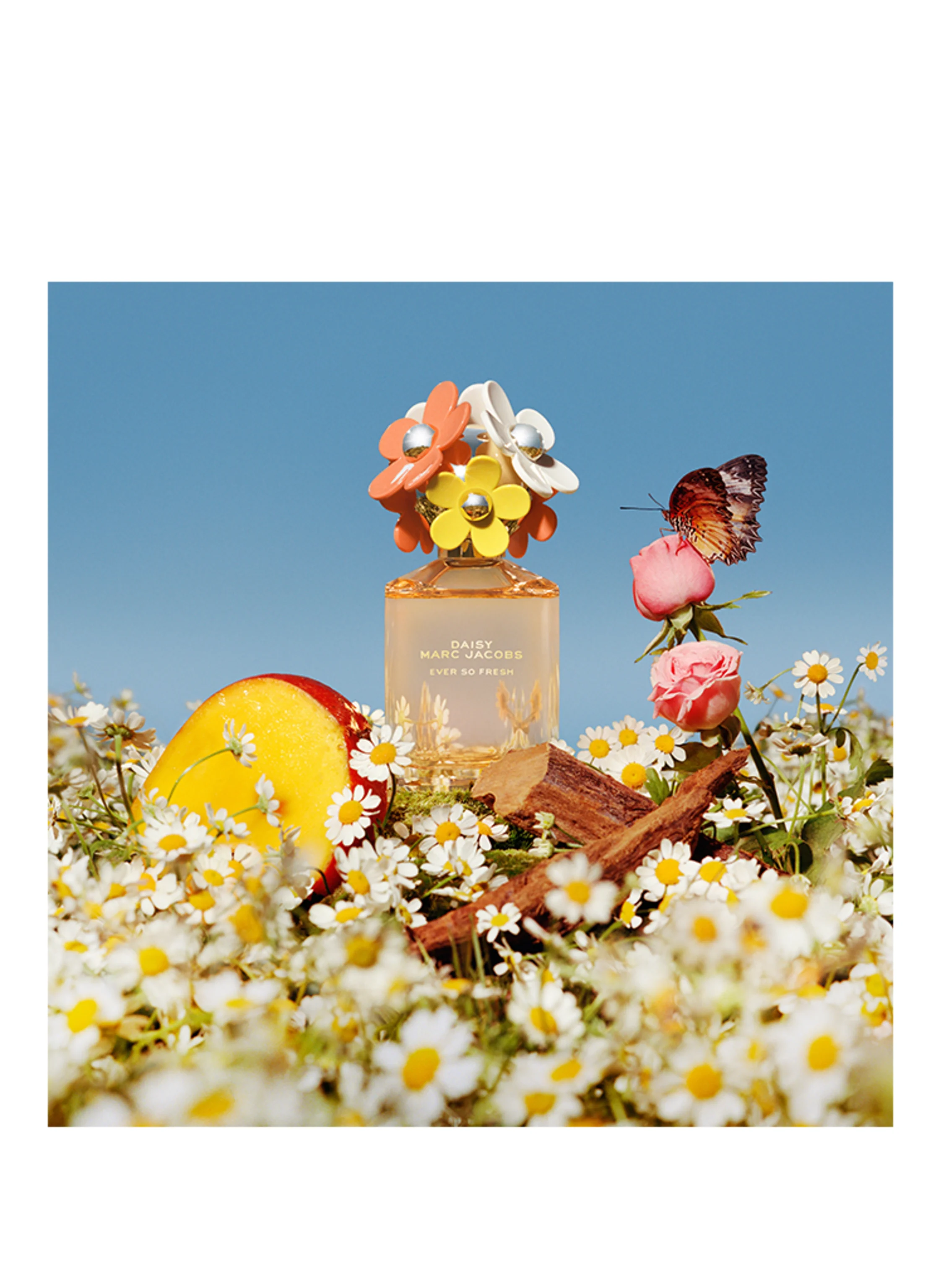 MARC JACOBS FRAGRANCE DAISY EVER SO FRESH
