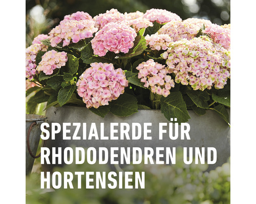 COMPO SANA® 50 L Rhododendron- en Hortensiagrond, ook geschikt voor Azalea's, Heide en Camelia's, Erybeangrond