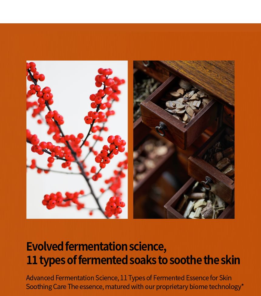 Fraijour - Alchemic Ginsenoside Intense Firming Cream