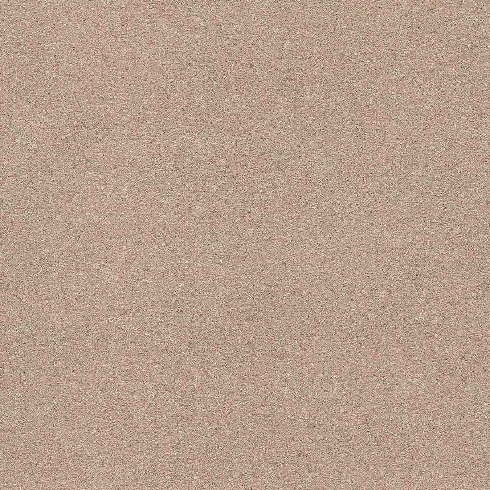 Staal Tapijt Peetz Beige