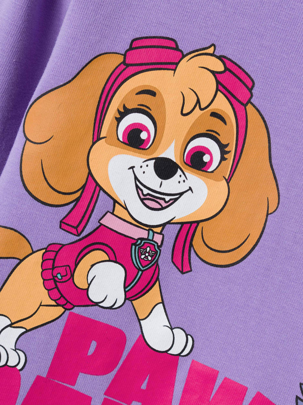 NAME IT Paw Patrol longsleeve NMFJUMINA met printopdruk paars