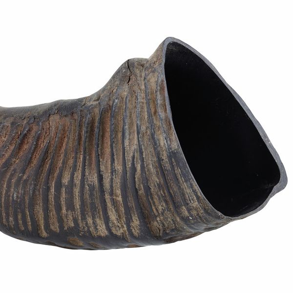 Thomann Water Buffalo Horn