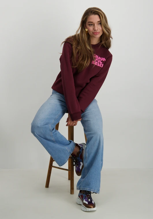 Colourful Rebel Sweater Bold puff logo WS416243