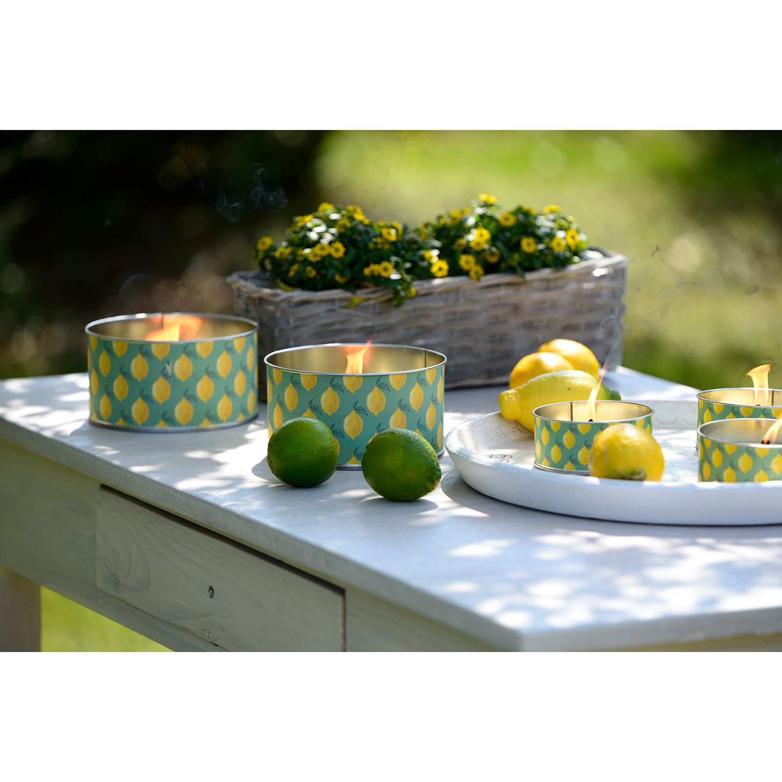 Citronella Cup - Metallbox - groß