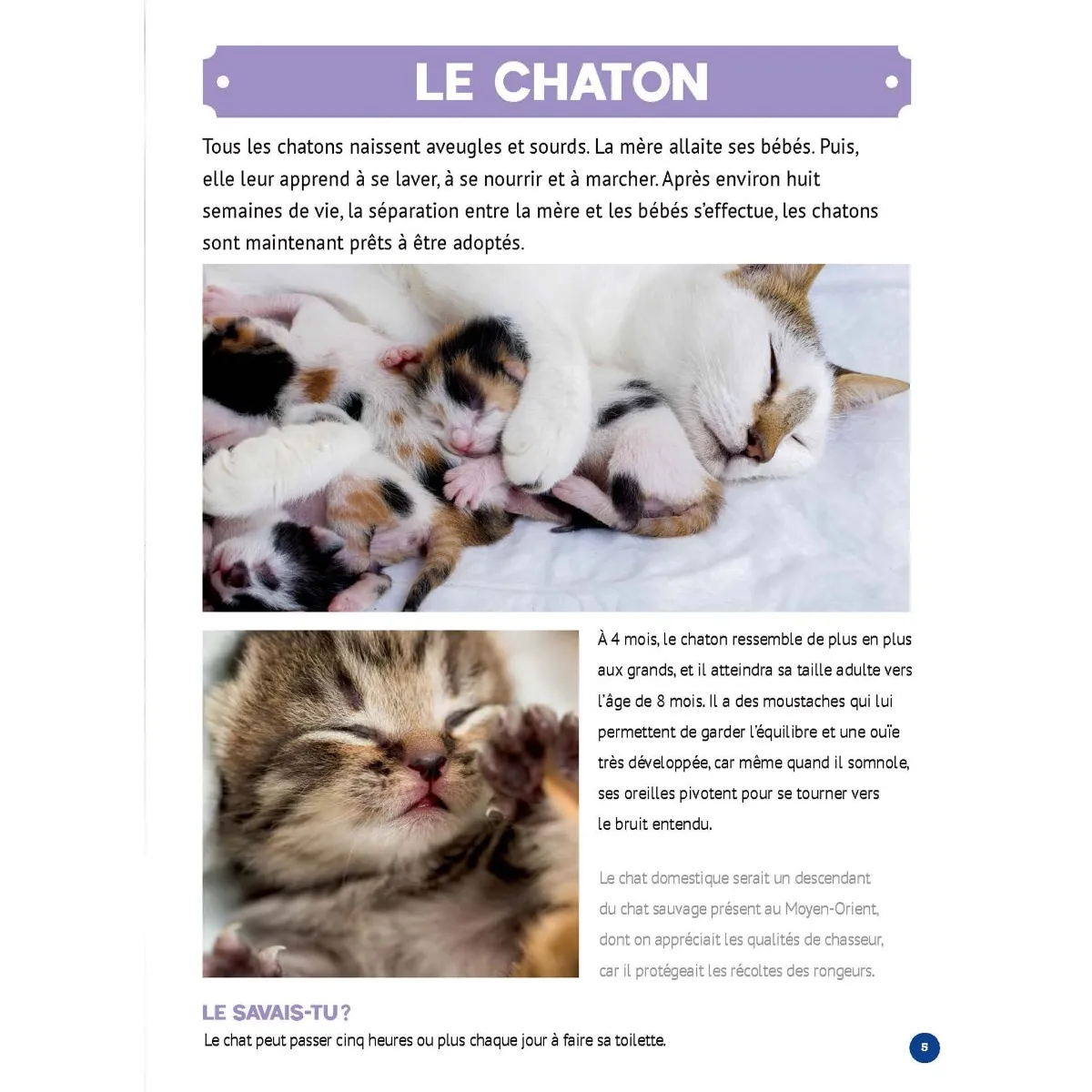 Prologue Mon Grand Animalier des Bébés Animaux