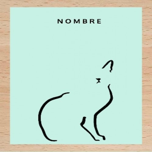 Ilustração de gato doméstico em moldura de madeira cor menta.