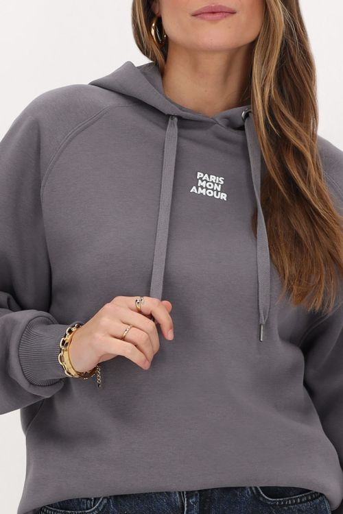 Grijze hoodie 