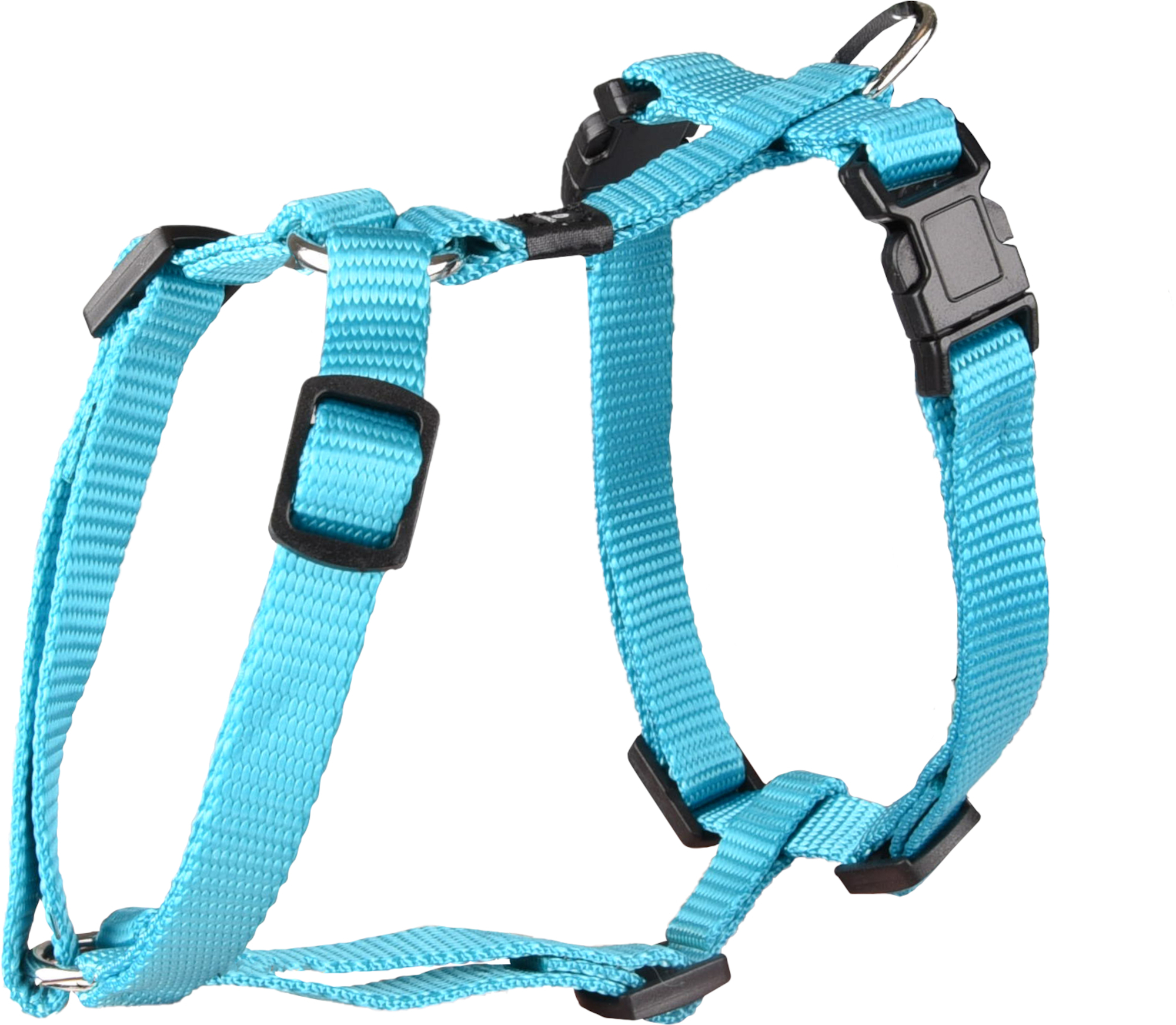 Flamingo f-519879 - Harnais Harnais H Turquoise