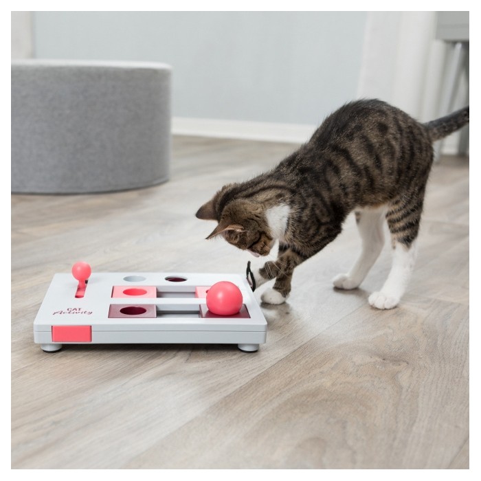 Jeu de stratégie Brain Mover Cat Activity