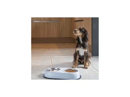 Gamelle pour Chien & Chat 