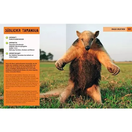 Ravensburger Superheldentiere