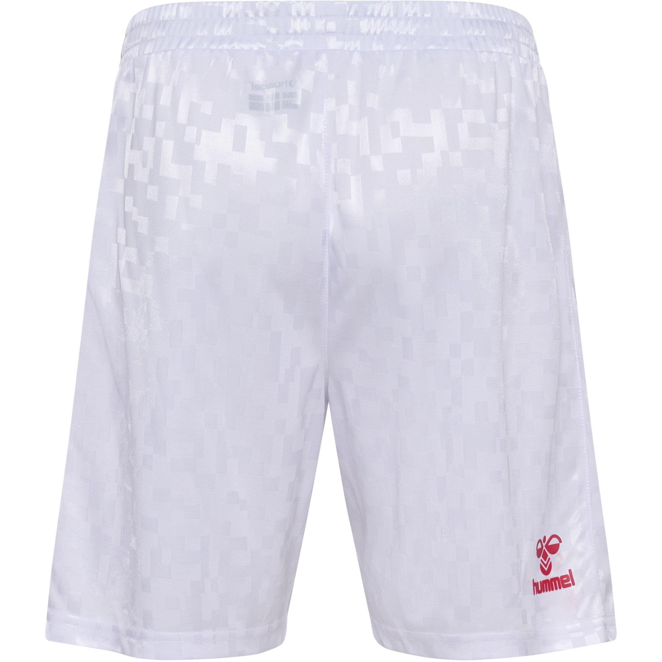 Hummel Denmark Home Shorts 2024 Adults
