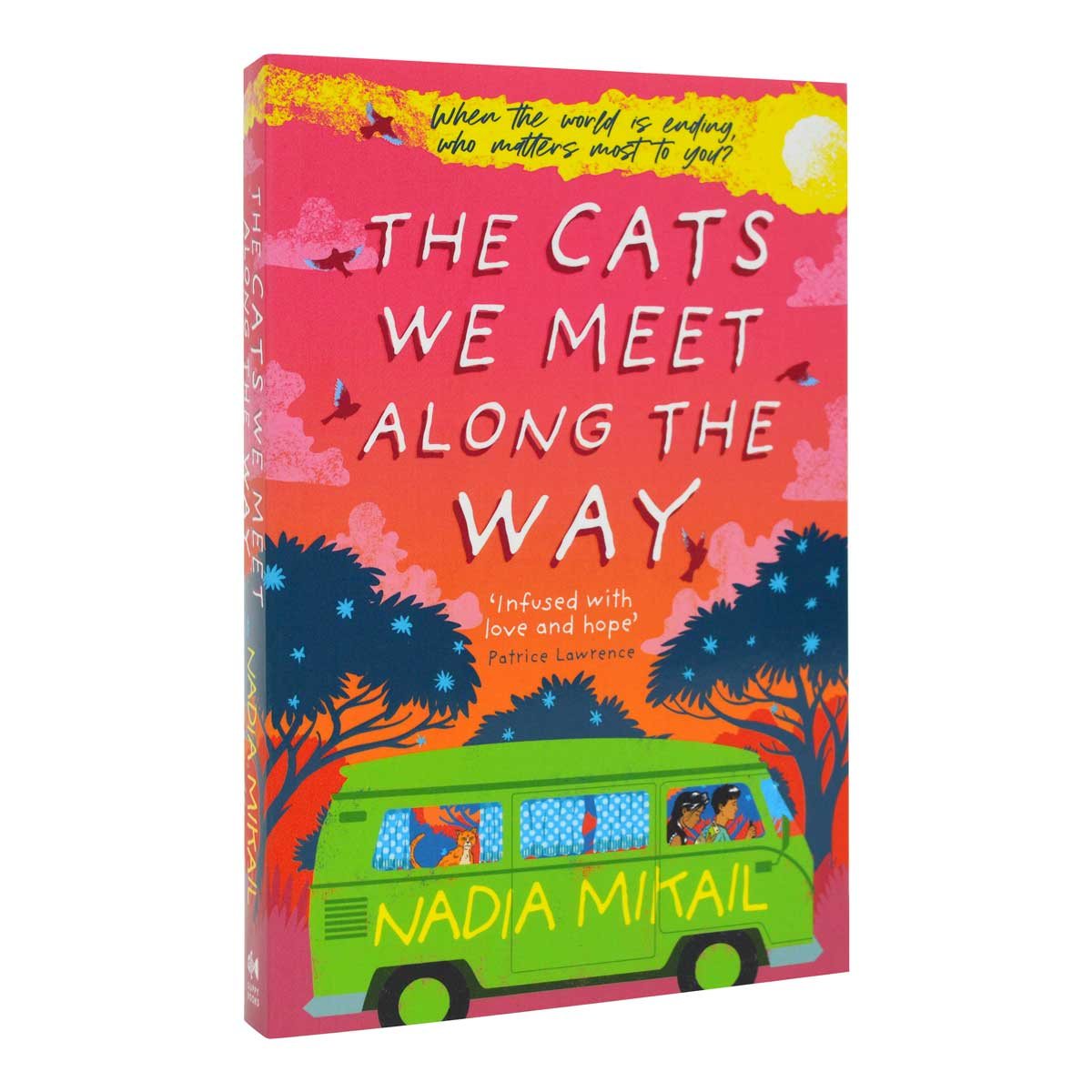 The Cats We Meet Along the Way: Winner of the Waterstones Children's Book Prize 2023 (Paperback)