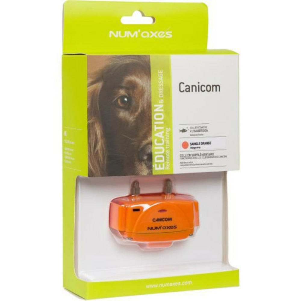 - collier seul - canicom - avec plasturgie orange et sangle orange fluo