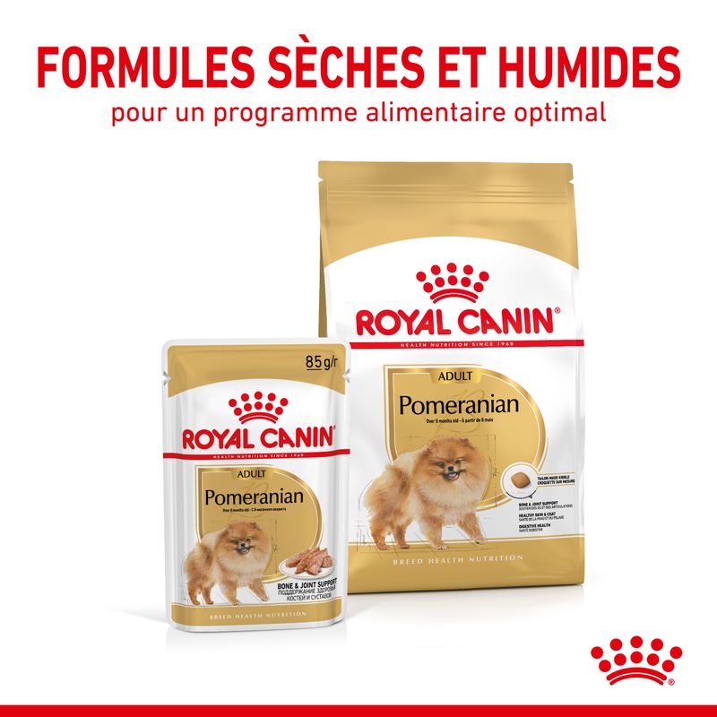 Royal Canin Spitz Nain Adult en mousse