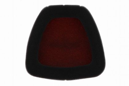 Filtre à air Twin air résistant au feu - 152227FR
