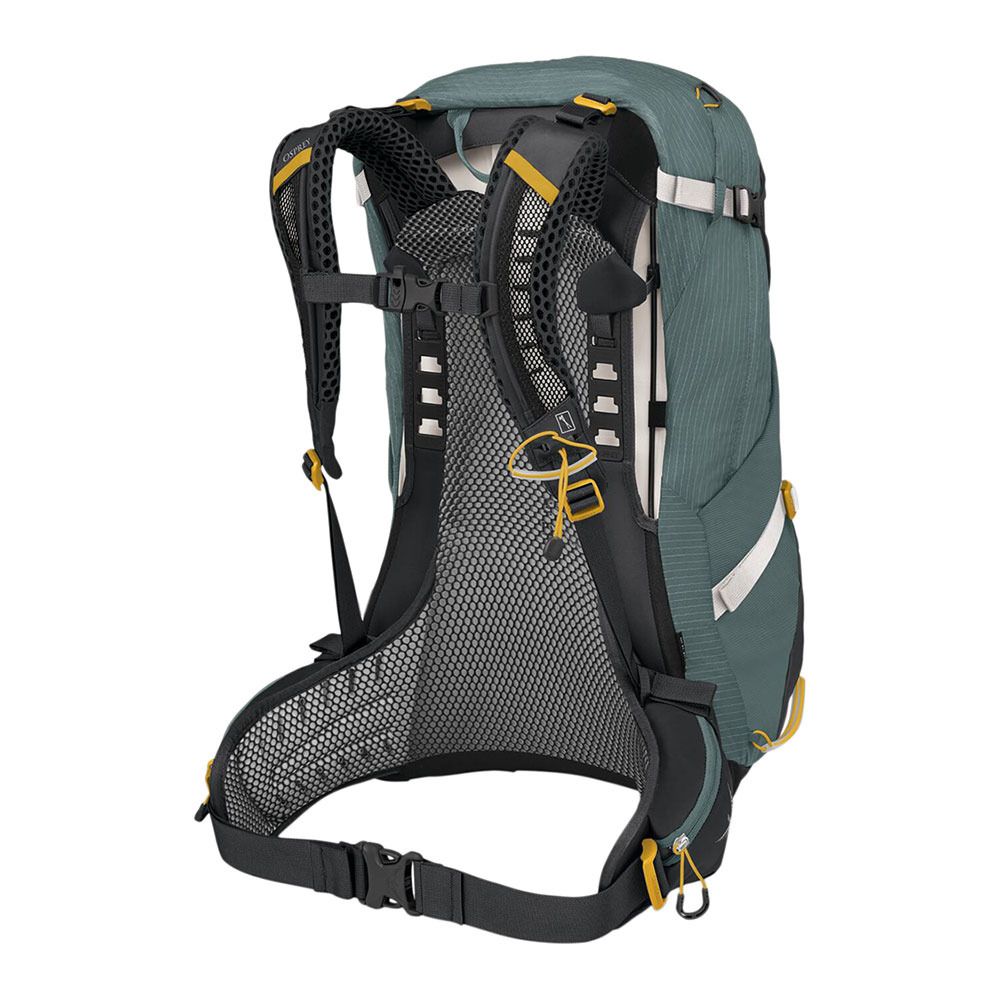 Osprey SIRRUS 34L - Sac À dos Femme succulent green
