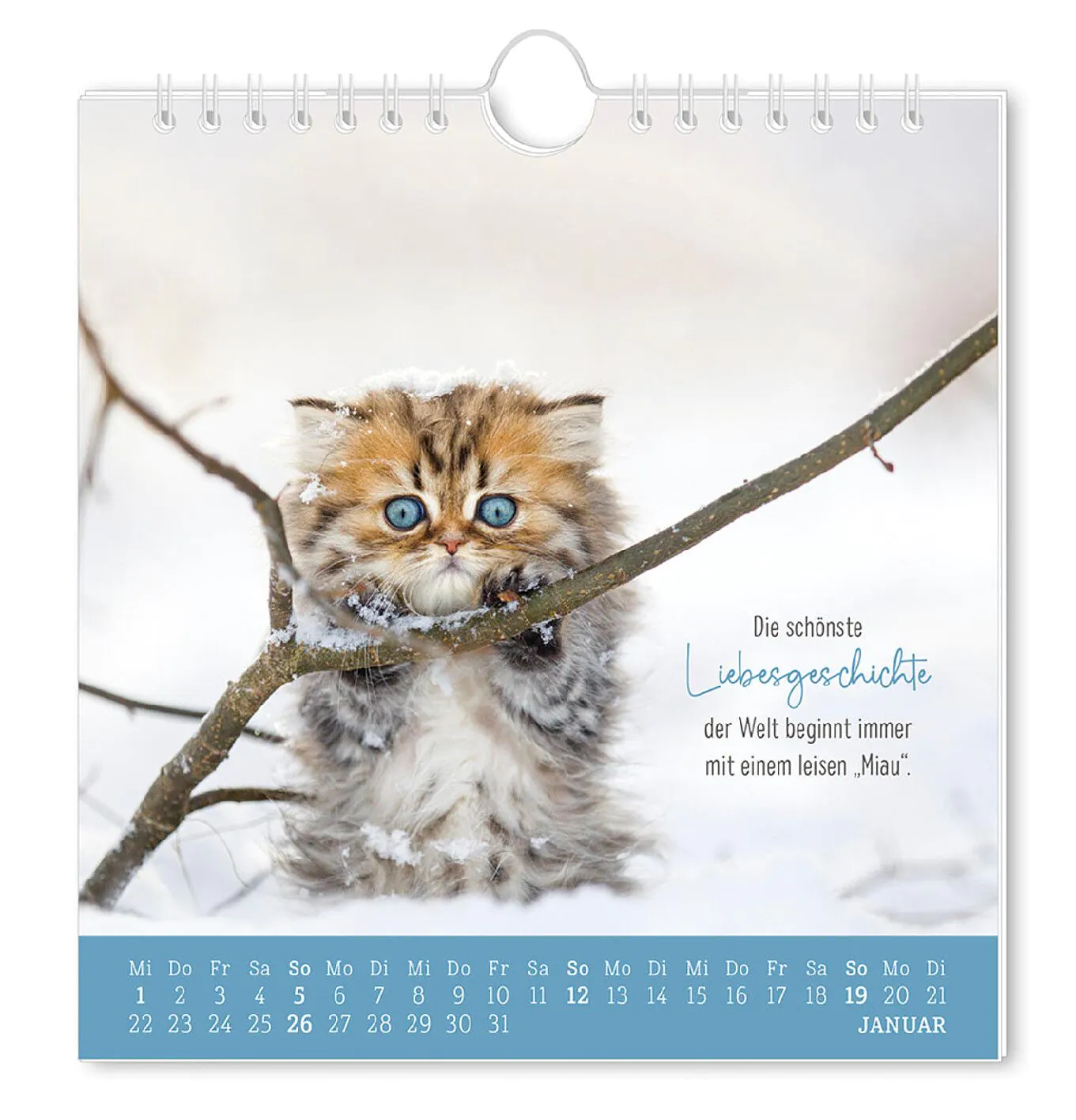 Postkarten Kalender, 2025, Auf leisen Pfoten
