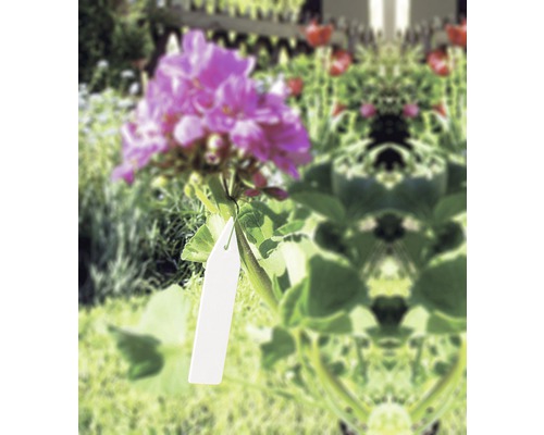 FloraSelf kunststof plantenlabels, 25 stuks