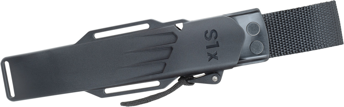 S1 X Zytelscheide
