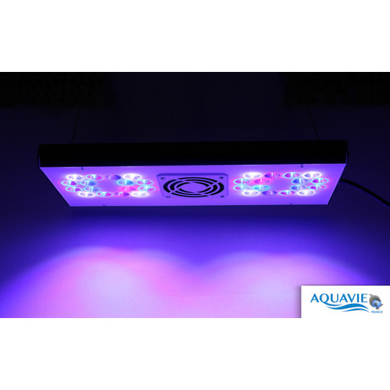 Grassycore Sealight led 148w black
