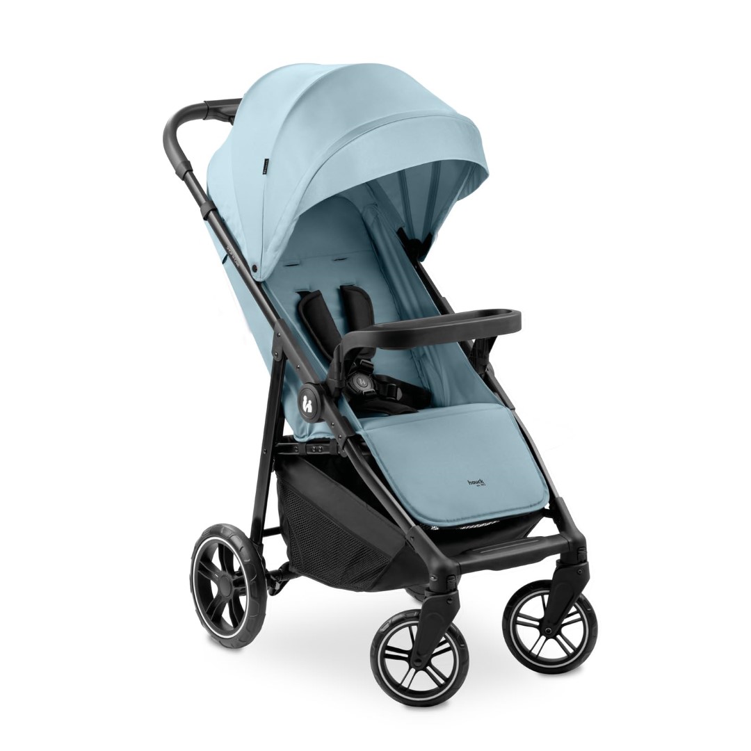 Hauck Buggy Shop N Care