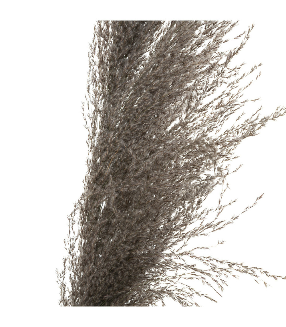 Set de 3 branches de pampa séchée brune h 109 cm