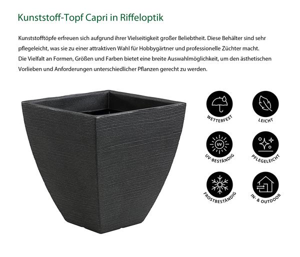 Dehner Kunststoff-Topf Capri in Riffeloptik,