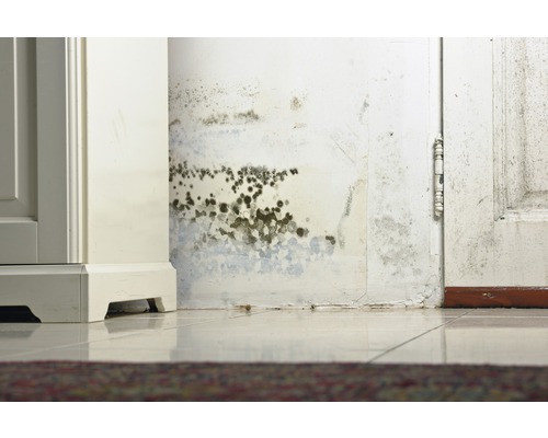 Knauf TecTem® isolatieplaat Indoor Climaprotect isolatieplaat 625 x 416 x 25 mm