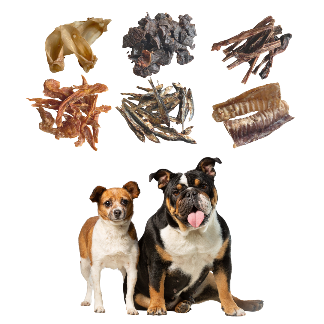 GLE PETS - PACOTE DE PETISCOS NATURAIS, PETISCOS SAUDÁVEIS PARA CÃES, 6 SACOS SORTIDOS, PARA ROER, CAIXA MARROM