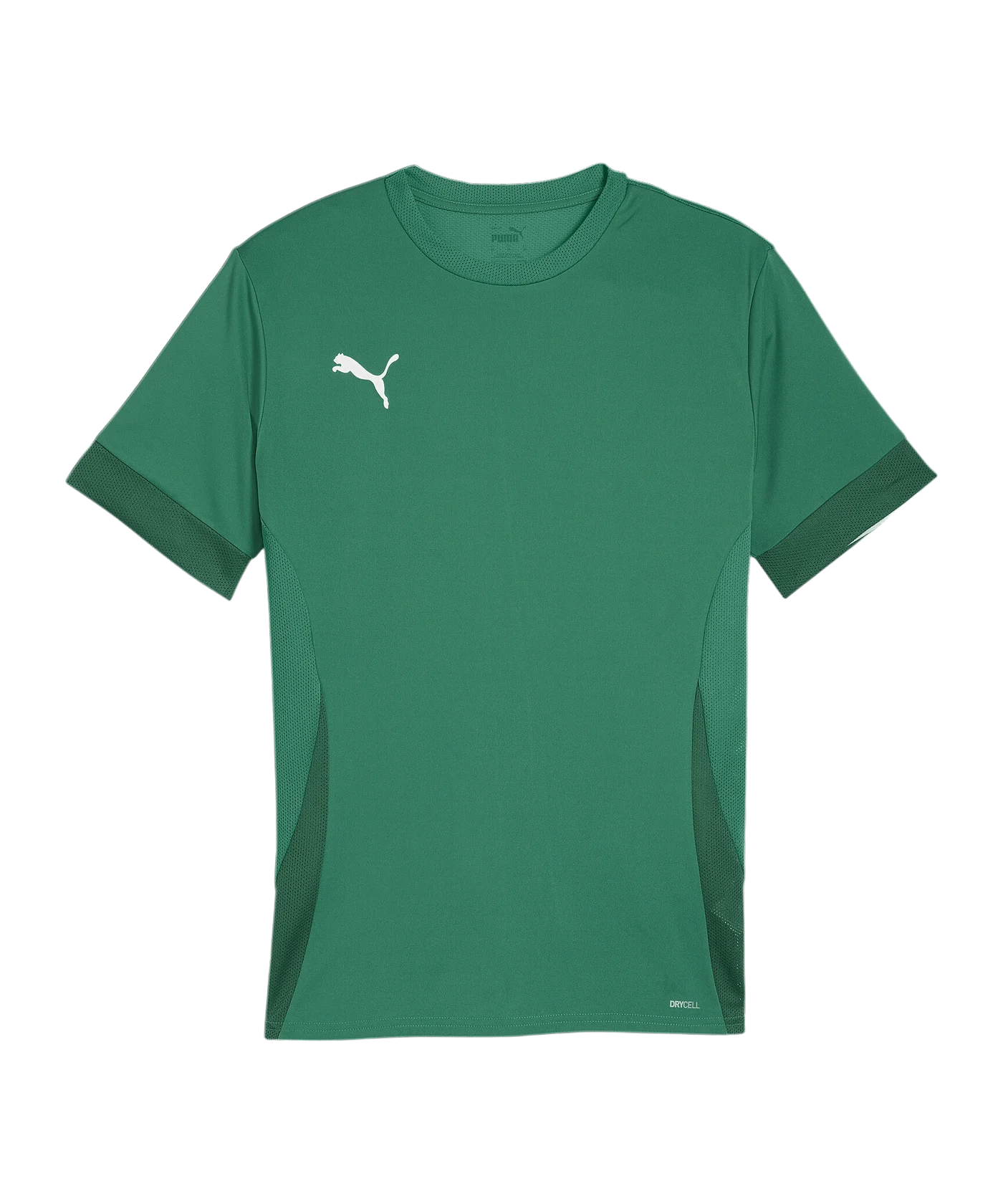 PUMA teamGOAL Matchday Trikot Grün Weiss F05