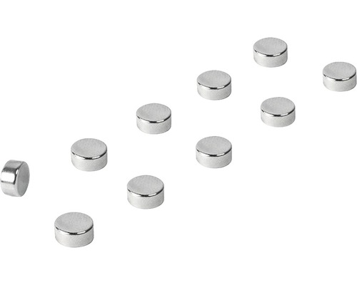 Decoratieve magneten Steely set van 10 zilver