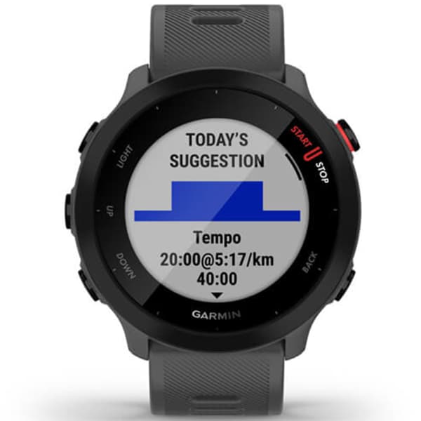 Montre cardio GPS GARMIN FORERUNNER 55 MONTERRA GREY