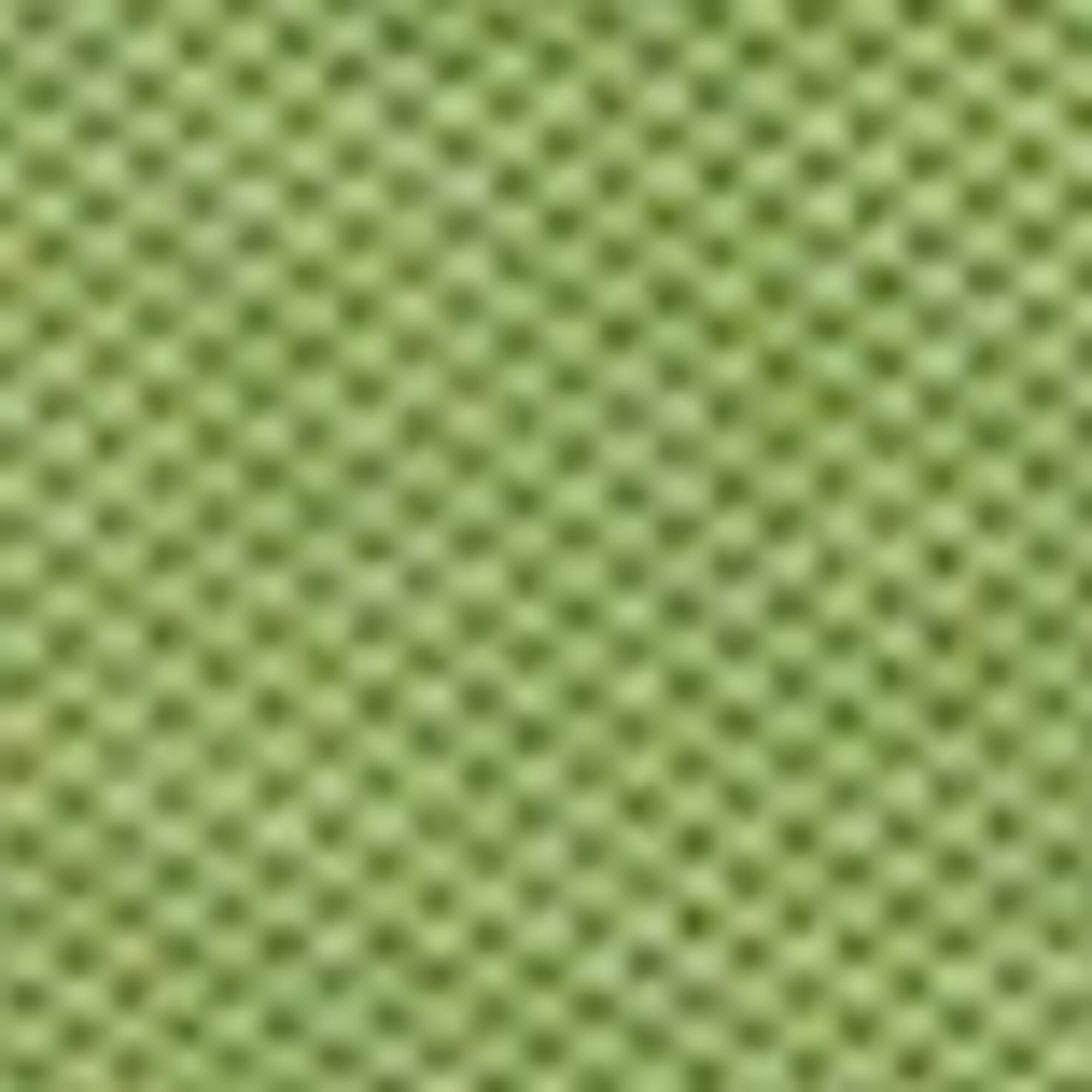 Kurzarm-Poloshirt Piqué shaped aus Organic Cotton-Stretch