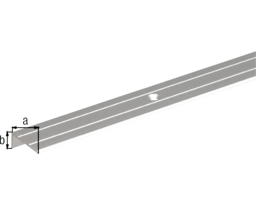 Eindprofiel, aluminium, zilver geanodiseerd, 24,5x10x1,5 mm, 1 m