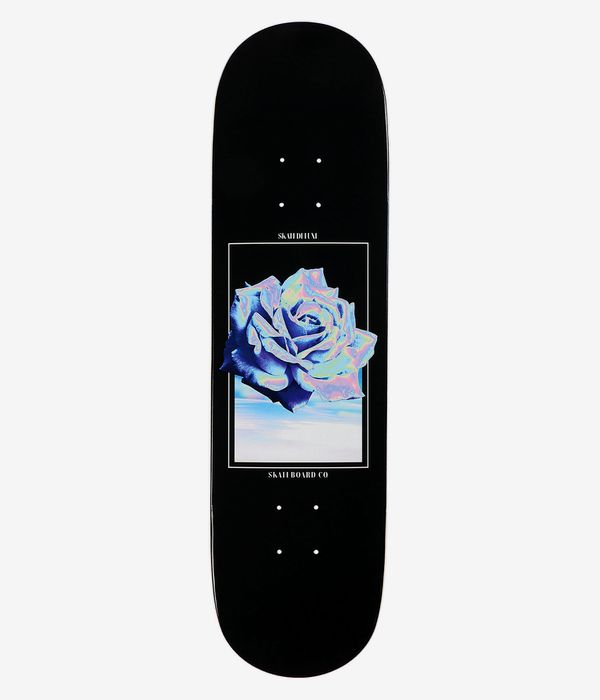 skatedeluxe Rose 8