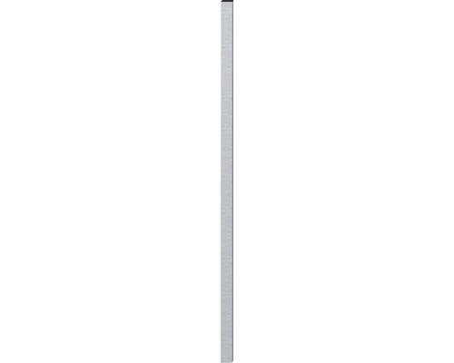 Hekpaal ALBERTS 4 x 4 x 150 cm thermisch verzinkt