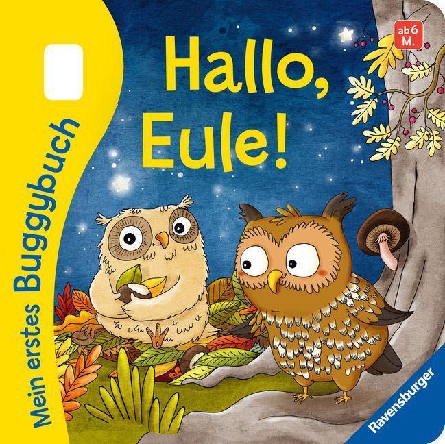 Mein erstes Buggybuch / Mein erstes Buggybuch: Hallo, Eule!