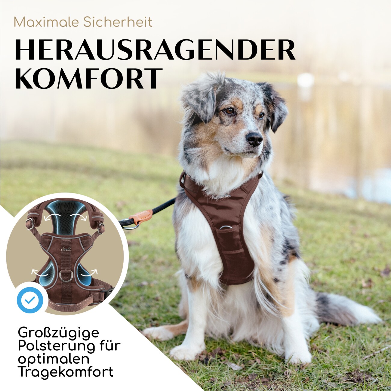 Freudentier Hundegeschirr mit Mesh-Polsterung XS