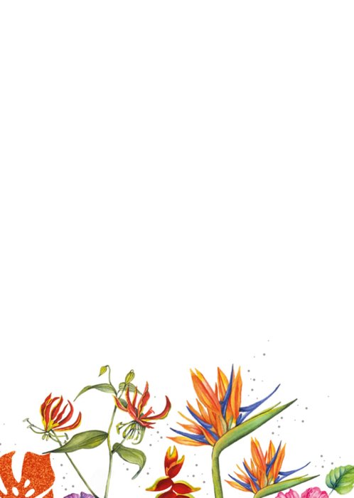 TMS | Gefeliciteerd | Fotokaart