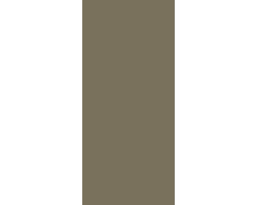 SCHULTE DecoDesign ExpressPlus douchewandpaneel, effen kleur taupe, 210 x 90 cm, EP1900923 678 210