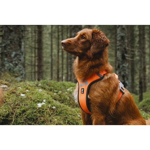 Hurtta Weekend Warrior Harness