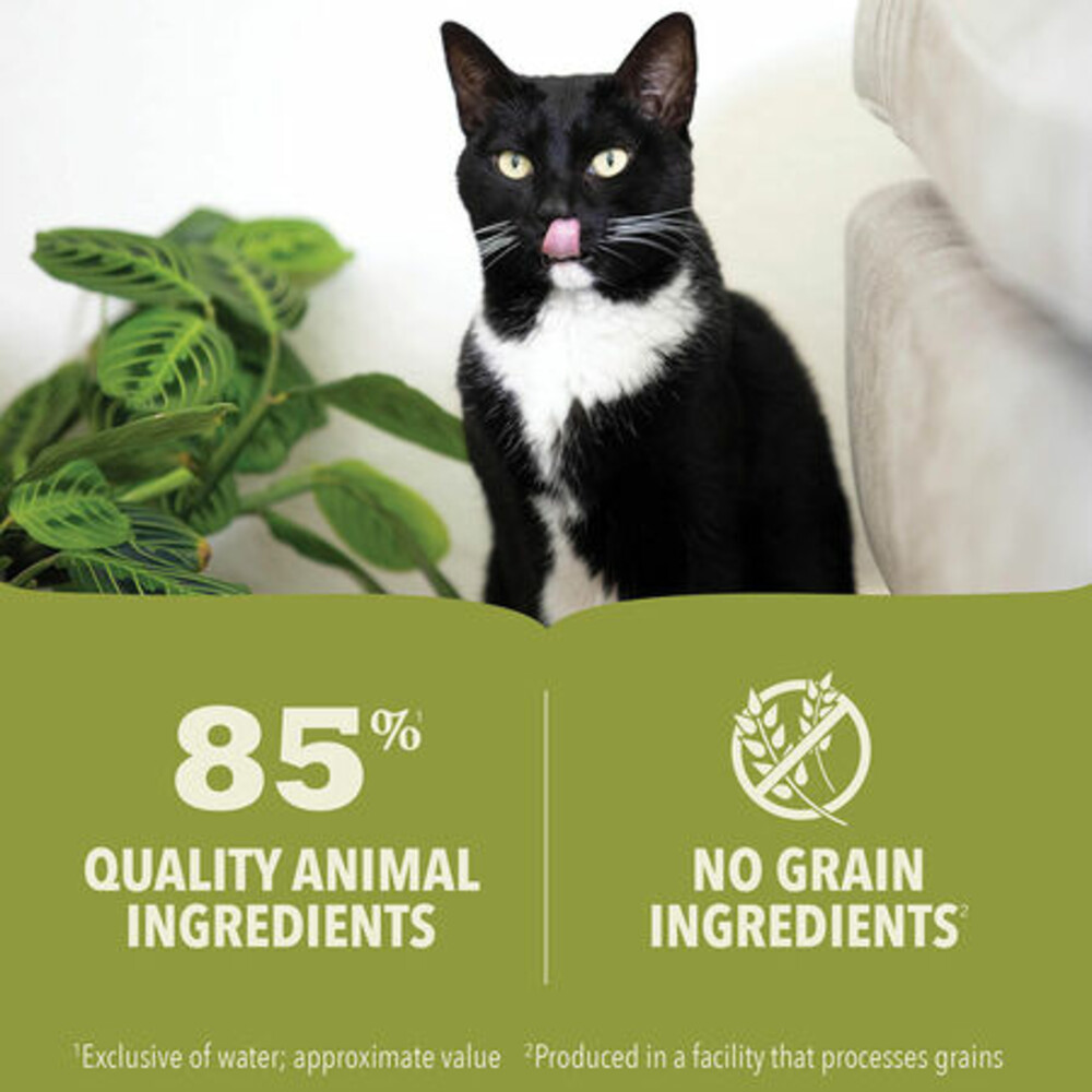 Acana Premium Kattenvoer PâtéSalmon & Chicken85 gr