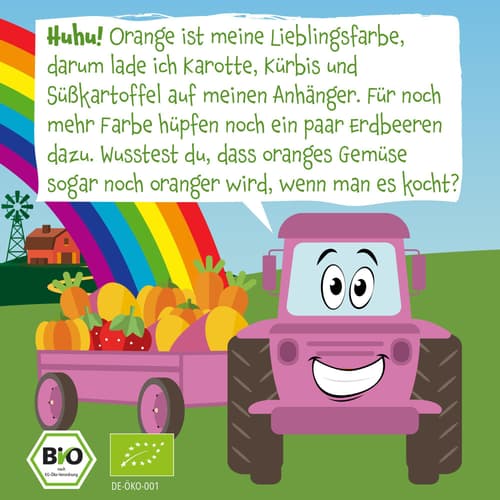 Pumpkin Organics Bio Quetschie: Süßkartoffel, Kürbis, Karotte, Erdbeere