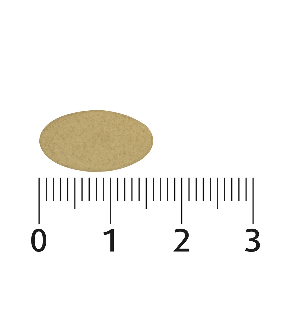 Lucovitaal Sterk IJzer Complex (60 tabletten)